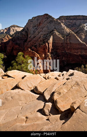 UTAH - mattina presto vista del punto di osservazione da angeli lo sbarco nel Parco Nazionale di Zion. Foto Stock