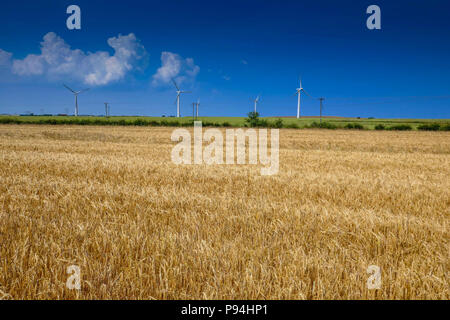 Le turbine eoliche e seminativi in campi, Holderness, vicino a Hull, East Yorkshire Foto Stock