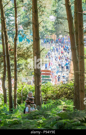 Suffolk, Regno Unito, 14 luglio 2018. La vista dal bosco - Il 2018 Latitude Festival, Henham Park. Suffolk 14 luglio 2018Credito: Guy Bell/Alamy Live News Foto Stock