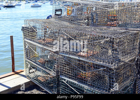 Trappole di aragosta impilati in harbour dock, comune scena costiere sulla costa est e il New England in America Foto Stock