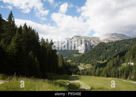 Il cloud passando attraverso il Monte de la stevia e Col dala Pieres dal di sopra Plan de Gralba Selva di Val Gardena Dolomiti Italia Foto Stock