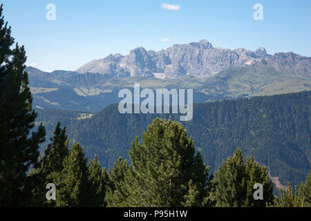 Il Rosengarten Gruppe e Naturpark Schlern - Rosengarten dal Rasciesa sopra la Val Gardena Estate Dolomiti Italia Foto Stock