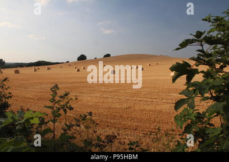 Balle rotonde di fieno in campo rurale in estate in Inghilterra West Yorkshire, Regno Unito Foto Stock