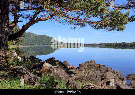 Vista di uno splendido lago e la campagna circostante nel Parco Nazionale di Killarney, nella contea di Kerry, Irlanda. Foto Stock
