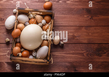 Uova di uccelli diversi in una scatola di legno, copyspace Foto Stock