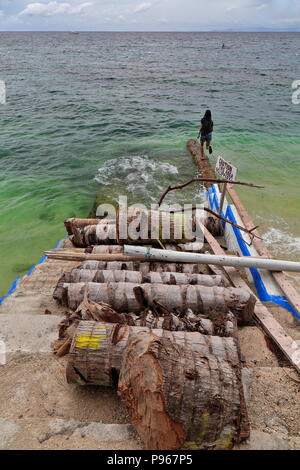 Palm tree trunk su passi concreti in corso di un alta marea coperto-basso jetty. Area costiera dove i turisti spot squali balena e fare snorkeling tra di loro w Foto Stock