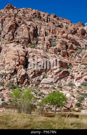 Le formazioni rocciose nella Red Rock Canyon National Conservation Area della periferia di Las Vegas, Nevada. Foto Stock