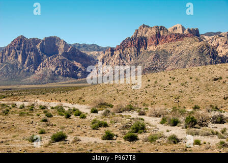 Prati e montagne del Red Rock Canyon National Conservation Area della periferia di Las Vegas, Nevada. Foto Stock