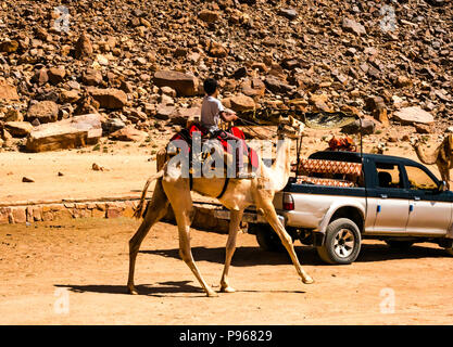 Giovane ragazzo a dorso di un cammello al campo beduino, Wadi Rum vallata desertica, Giordania, Medio Oriente Foto Stock