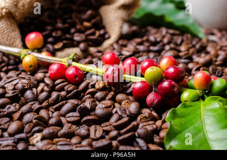 Close up marrone caffè torrefatto in grani con red mature le ciliegie di caffè e foglie Foto Stock