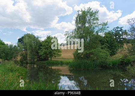 Canonteign Falls e laghi, Teign Valley, Devon England Regno Unito Foto Stock