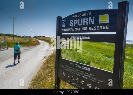 Disprezzare la testa, Spurn punto, spiedo di sabbia, vicino a Hull East Yorkshire, Regno Unito Foto Stock