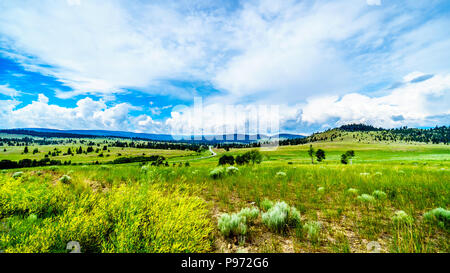 Autostrada 5un avvolgimento attraverso gli ampi terreni Prato della Valle di Nicola, tra Merritt e di Kamloops, British Columbia, Canada, sotto il cielo nuvoloso Foto Stock