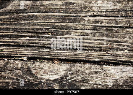 Close-up di legno ruvido per gli sfondi Foto Stock