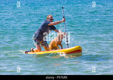 Branksome Dene, Poole, Dorset, Regno Unito. Il 15 luglio 2018. La UKs primo cane campionati di surf, organizzato da Shaka Surf, avviene a Branksome Dene spiaggia su una calda giornata di sole. Riscalda si sono tenuti con i vincitori passando per i quarti di finale, semifinali e poi la finale per decidere il vincitore. Credito: Carolyn Jenkins/Alamy Live News Foto Stock