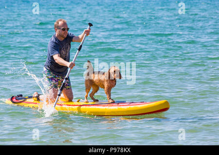 Branksome Dene, Poole, Dorset, Regno Unito. Il 15 luglio 2018. La UKs primo cane campionati di surf, organizzato da Shaka Surf, avviene a Branksome Dene spiaggia su una calda giornata di sole. Riscalda si sono tenuti con i vincitori passando per i quarti di finale, semifinali e poi la finale per decidere il vincitore. Credito: Carolyn Jenkins/Alamy Live News Foto Stock