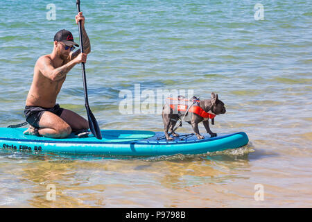 Branksome Dene, Poole, Dorset, Regno Unito. Il 15 luglio 2018. La UKs primo cane campionati di surf, organizzato da Shaka Surf, avviene a Branksome Dene spiaggia su una calda giornata di sole. Riscalda si sono tenuti con i vincitori passando per i quarti di finale, semifinali e poi la finale per decidere il vincitore. Credito: Carolyn Jenkins/Alamy Live News Foto Stock