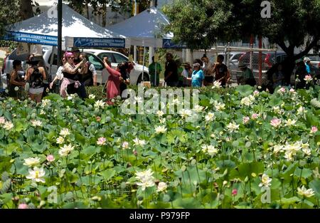 Los Angeles, Stati Uniti d'America. 14 Luglio, 2018. Le persone partecipano al la trentottesima Lotus annuale Festival in Los Angeles, gli Stati Uniti, il 14 luglio 2018. Ogni anno il festival mette in mostra un paese diverso e cultura, e questo anno è di onorare la Cina e la vibrante cultura cinese che è stato parte integrante di Los Angeles e California. Credito: Zhao Hanrong/Xinhua/Alamy Live News Foto Stock