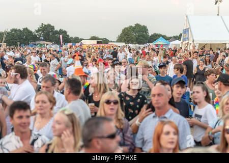 Brentwood Essex, 15 luglio 2018 Brentwood Music Festival 2018 al centro di Brentwood con scouting per i tifosi in credito audance Ian Davidson/Alamy Live News Foto Stock