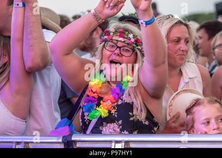 Brentwood Essex, 15 luglio 2018 Brentwood Music Festival 2018 al centro di Brentwood con Scouting per un credito di ventola Ian Davidson/Alamy Live News Foto Stock