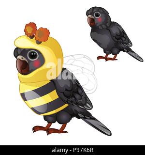 Carino pappagallo nero in costume da ape isolato su uno sfondo bianco. Tropical domata bird. Animata illustrazione vettoriale. Illustrazione Vettoriale