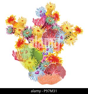 Una composizione colorata di coralli marini e polipi. Luminose abitanti del mare profondo è isolato su uno sfondo bianco. Illustrazione Vettoriale. Illustrazione Vettoriale