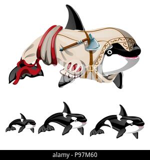 Il set di balena killer o orca isolato su uno sfondo bianco. Vector cartoon close-up illustrazione. Illustrazione Vettoriale