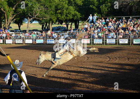 Bronc rompendosi presso la Mason County Rodeo Foto Stock