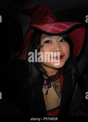 Strega di Halloween Foto Stock