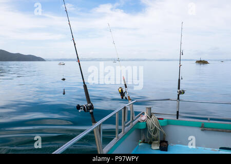 Canne da pesca con le bobine su barca a noleggio sulla tranquilla giornata in mare nel lontano nord distretto, Northland, Nuova Zelanda, NZ Foto Stock