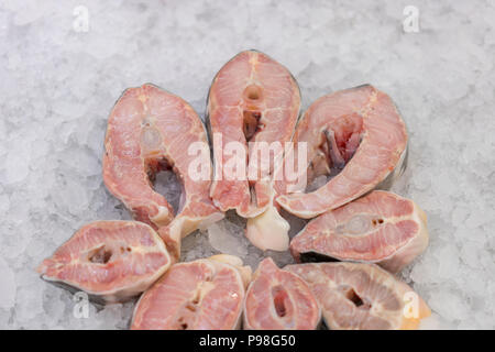 Bistecche di pesce di mare su ghiaccio. Dentice bianco bistecca su ghiaccio. Foto Stock