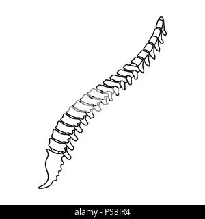 Icona della colonna vertebrale in stile contorno isolati su sfondo bianco. Simbolo di organi illustrazione vettoriale. Illustrazione Vettoriale