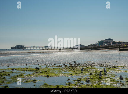 Worthing Pier a bassa marea, Sussex, Regno Unito Foto Stock