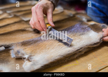 Skinner lavora con Pelliccia di Visone pelle Foto Stock