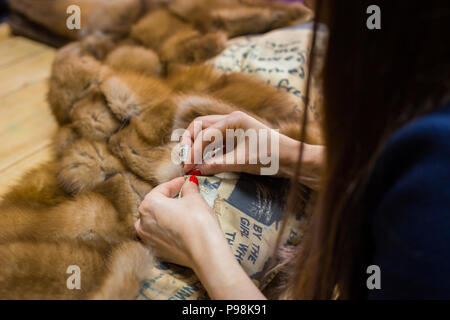 Personalizzare la riparazione di pelliccia Foto Stock
