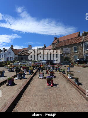 Avvio Wellie giardino St Monans Fife Scozia Luglio 2018 Foto Stock