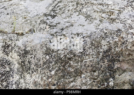 Tessitura della pietra o dello sfondo Foto Stock