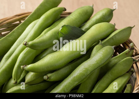 Raccolte fresche Materie fave nel pod in un cesto vicino fino Foto Stock
