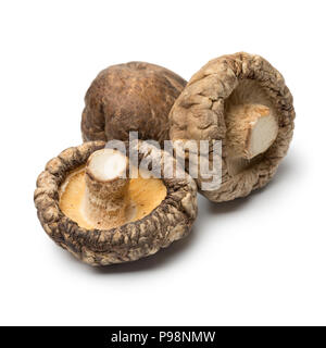 Essiccato funghi shiitake close up isolati su sfondo bianco Foto Stock