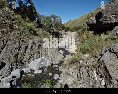 La vista a riserva "Reserva Florofaunistica de Rincón del Este', in Merlo, San Luis, Argentina. Foto Stock