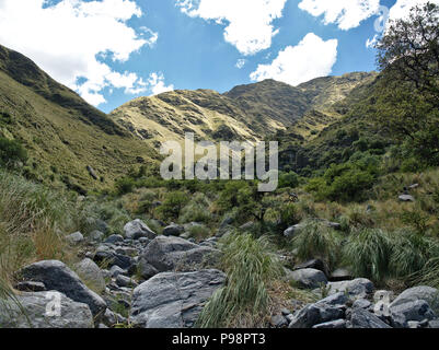 La vista a riserva "Reserva Florofaunistica de Rincón del Este', in Merlo, San Luis, Argentina. Foto Stock