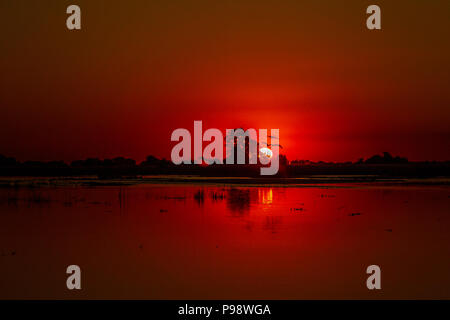 Tramonto dietro alberi attraverso il fiume Chobe, Botswana - Namibia confine. 2018. Gli uccelli refelected nell'acqua del fiume. Foto Stock