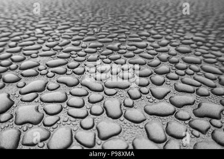 L'acqua piovana ha realizzato innumerevoli singole perle di acqua che sembrano aver riunito e dissolvenza in apertura per la distanza Foto Stock