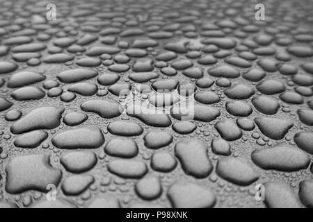 L'acqua piovana ha realizzato innumerevoli singole perle di acqua che sembrano aver riunito e dissolvenza in apertura per la distanza Foto Stock