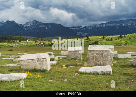 Il Dugo Polje necropoli con oltre 130 stećak bianco (lapidi) in Blidinje, Bosnia Erzegovina Foto Stock