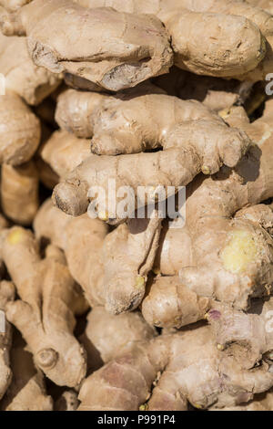 Radice di Zenzero al mercato Foto Stock