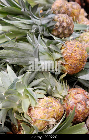Ananas sul supporto del mercato Foto Stock