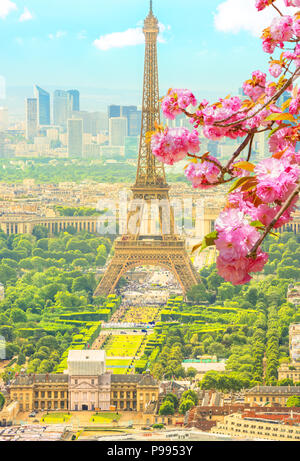 Fiore di Ciliegio ramo in primo piano e sullo skyline cittadino di Parigi con la Torre Eiffel sullo sfondo. Stagionale sfondo pittoresco. New Scenic 5 posti con lo sfondo della torre Eiffel. Colpo verticale. Foto Stock