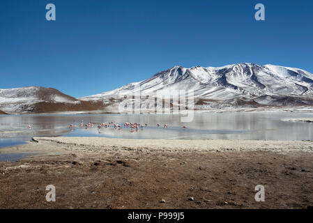 Il wintery paesaggio della laguna Cañapa (Cañapa Salt Lake) nel dipartimento di Potosí, Bolivia. Foto Stock