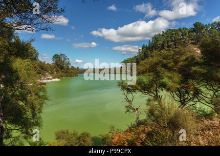 Verdi acque del lago Ngakoro, Wai-O-Tapu area geotermale, Nuova Zelanda Isola del nord. Foto Stock